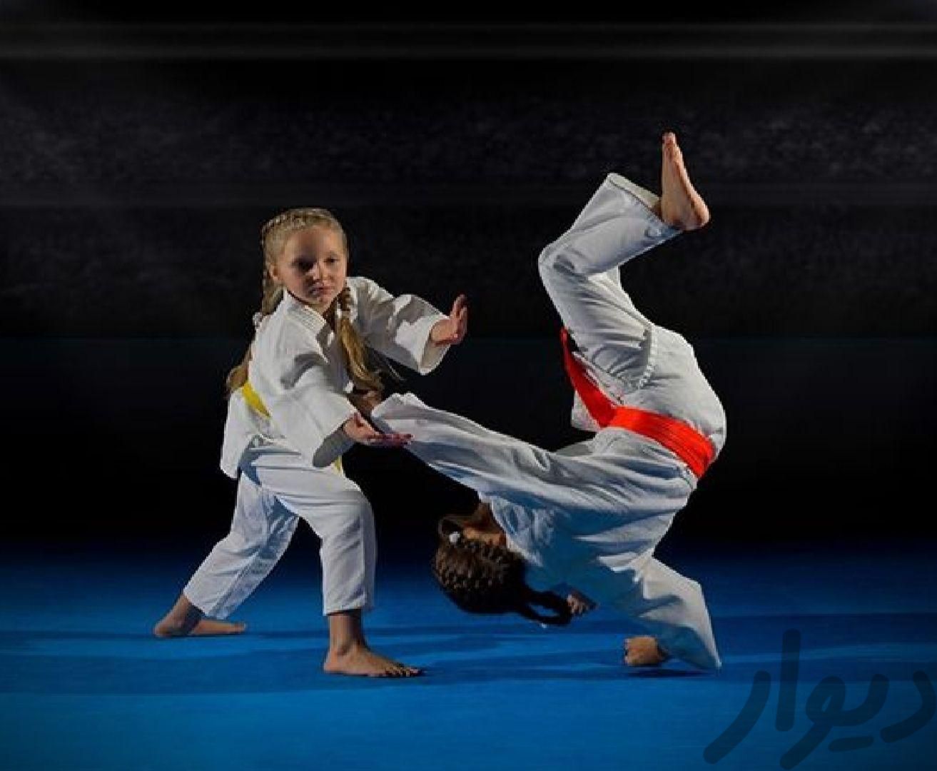 آموزش ورزش رزمی کاراته بانوان|خدمات آموزشی|بجنورد, |دیوار