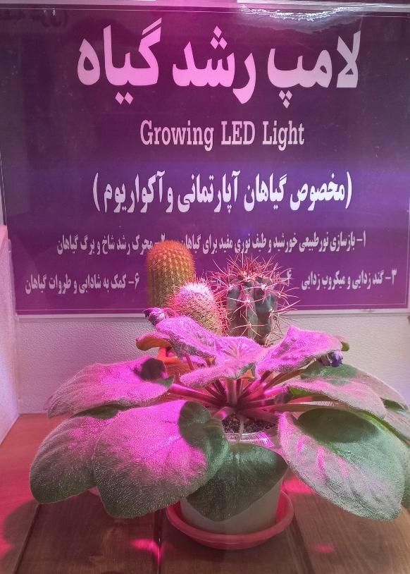 لامپ رشد وال واشر فول اسپکتروم LED POWER 6W|لامپ و چراغ|تهران, هفت حوض|دیوار