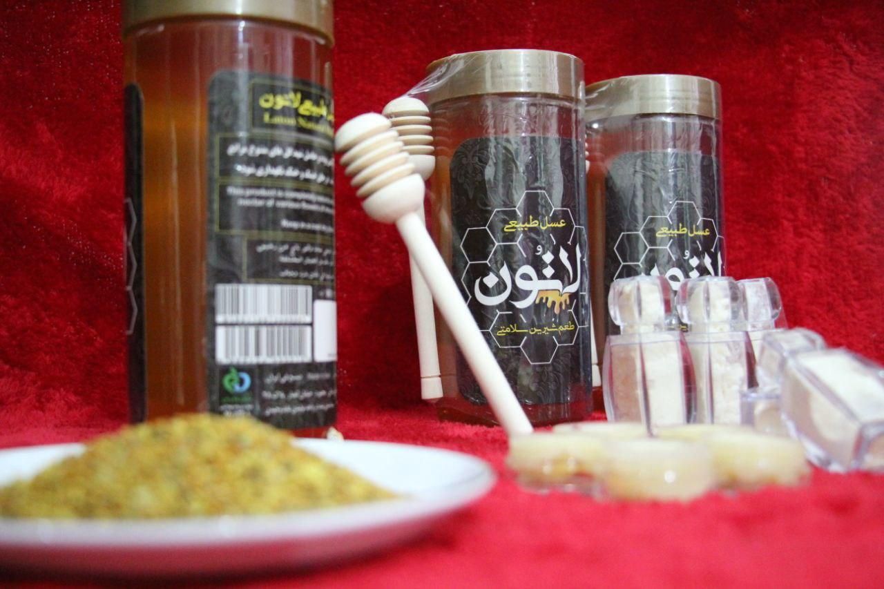 عسل / عسل طبیعی / عسل کوهستان|خوردنی و آشامیدنی|مشهد, شهید آوینی|دیوار