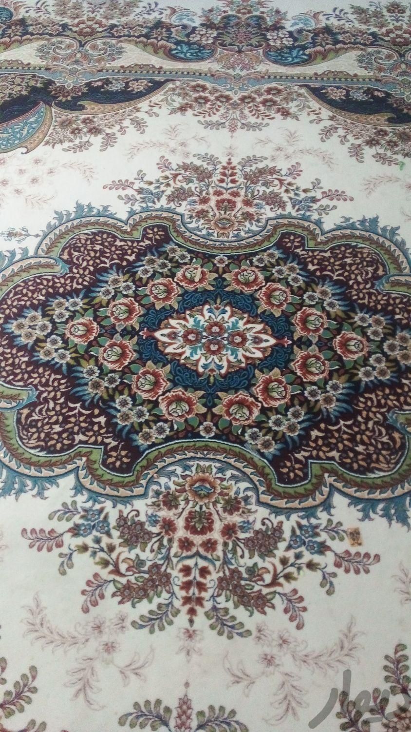 فرش ۱۲ متری دستباف گونه پرشین تهران ۷۰۰  تراکم۲۵۵۰|فرش|گلستان, |دیوار