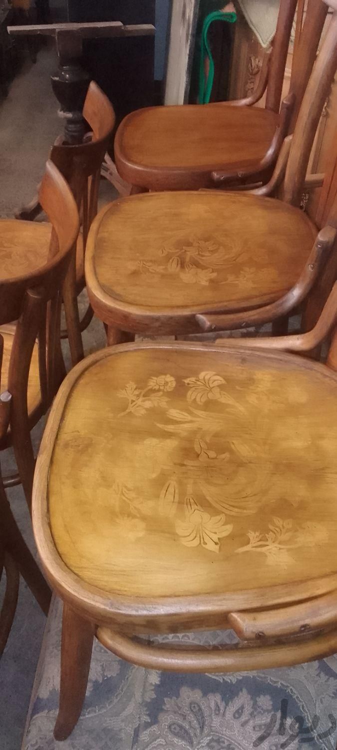 صندلی لهستانی کفه گلدار اصل|صندلی و نیمکت|تهران, شمیران‌نو|دیوار