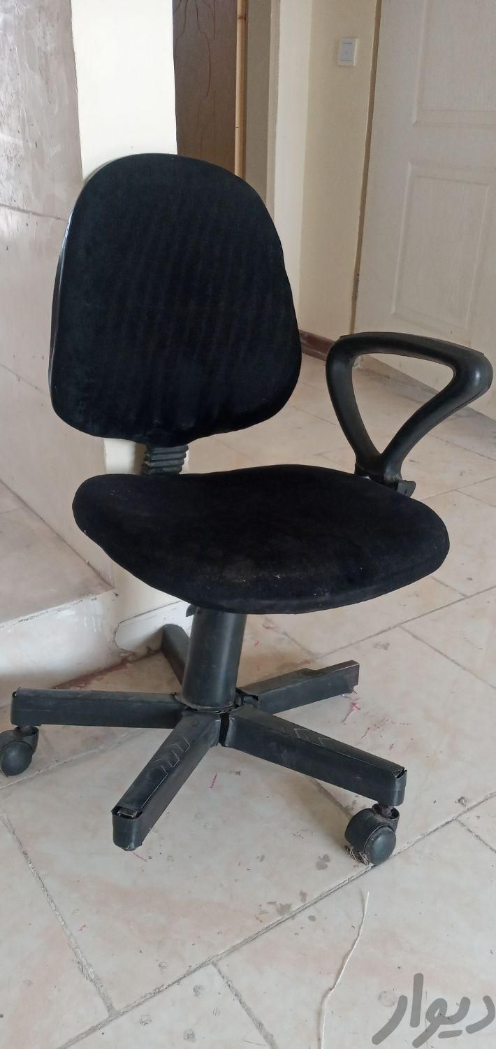 صندلی چرخدار|صندلی و نیمکت|پرند, |دیوار