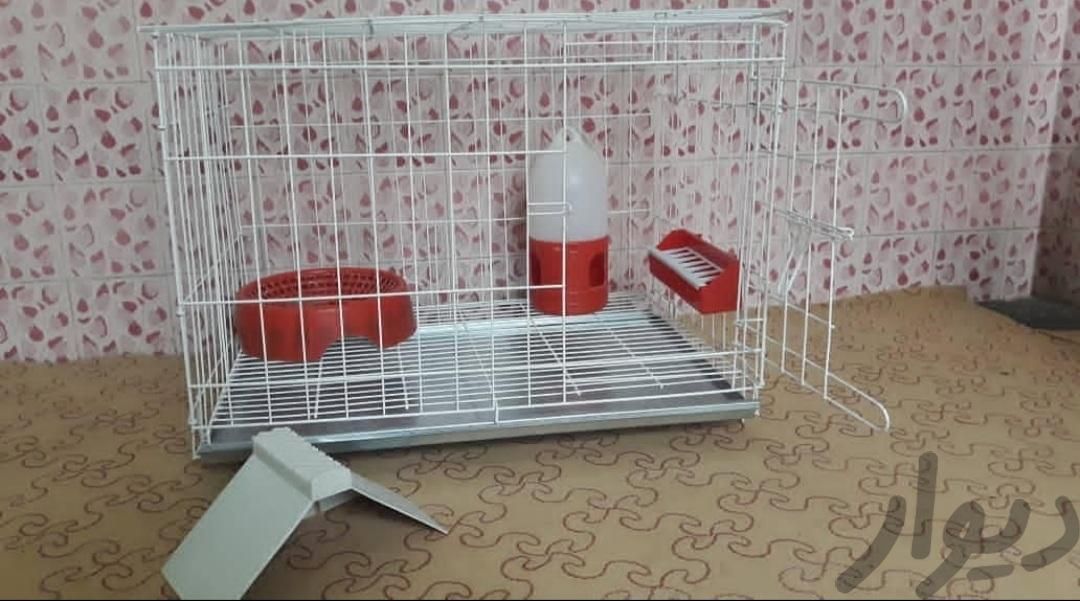 قفس کبوتری|لوازم جانبی مربوط به حیوانات|بندر کنگان, |دیوار