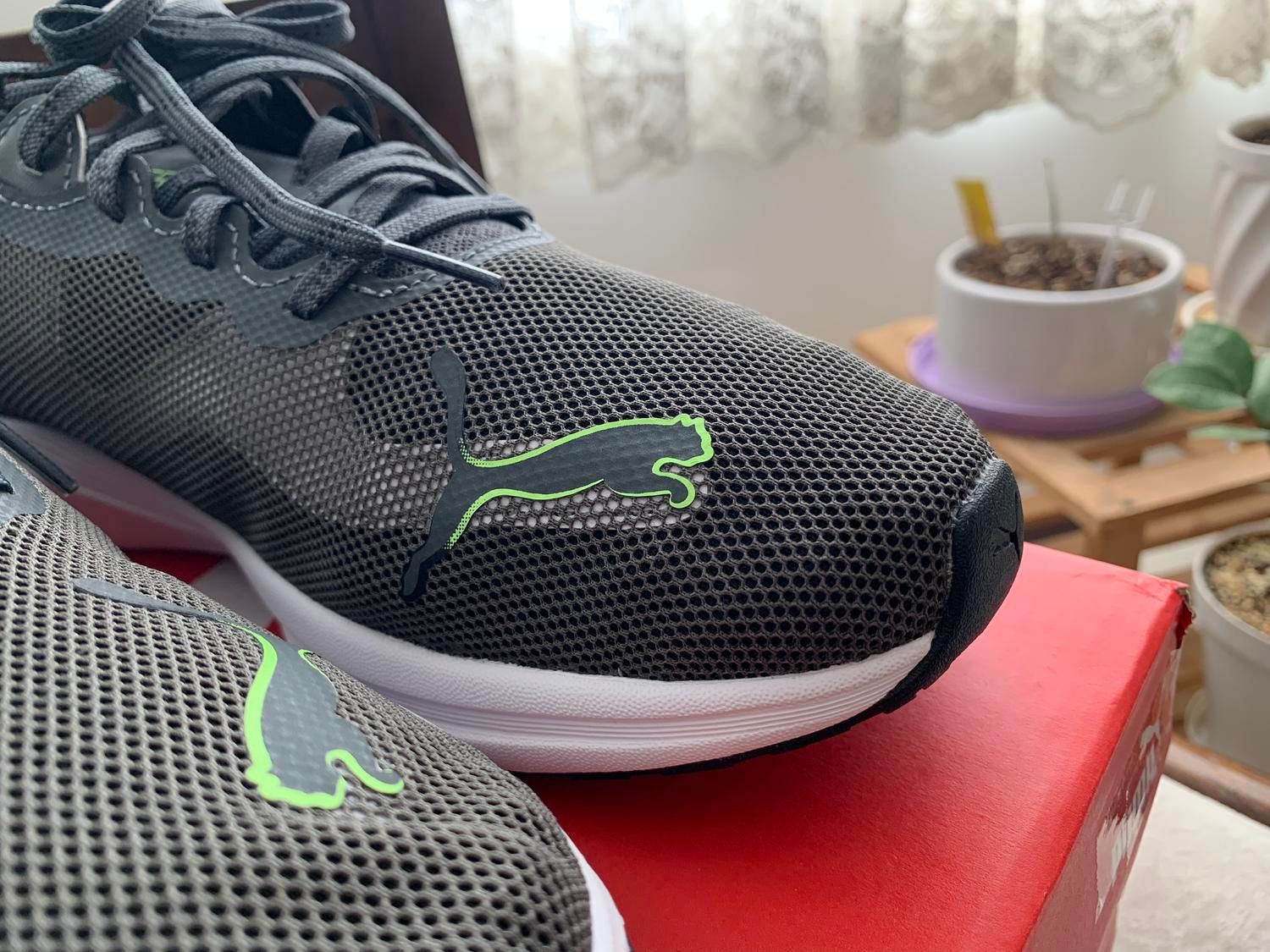 کتانی رانینگ پوما اورجینال puma|کیف، کفش، کمربند|تهران, توحید|دیوار