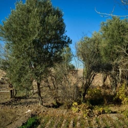 اجاره اتاق در مجموعه بومگردی با پارکینیگ اختصاصی|اجارهٔ کوتاه‌مدت آپارتمان و سوئیت|گرمسار, |دیوار