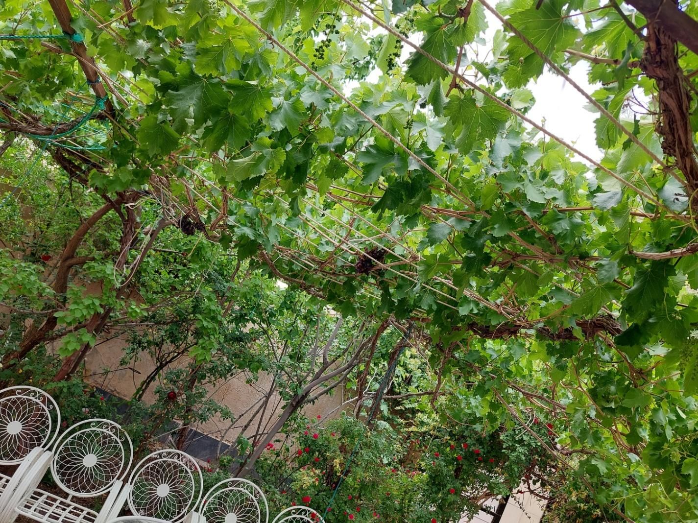 تصویر 9