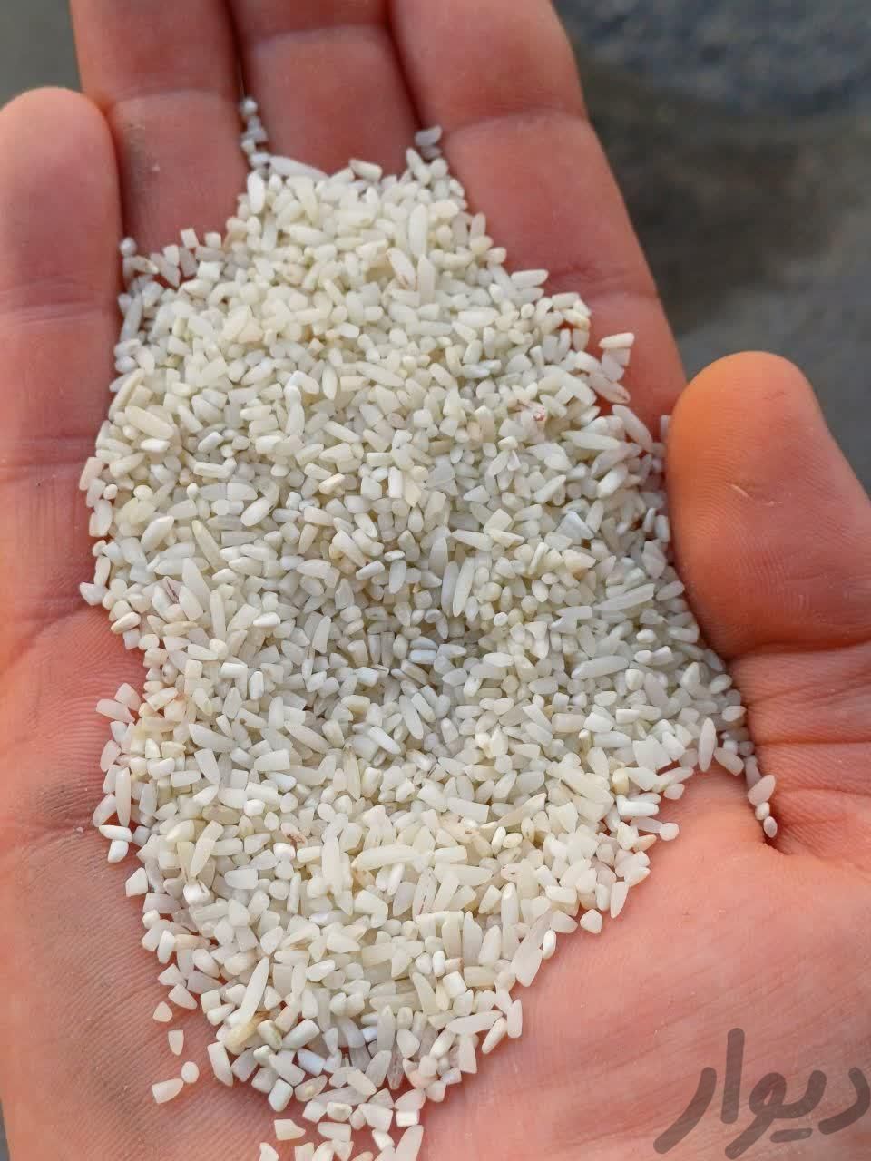 برنج نیمدانه طارم بشرط|خوردنی و آشامیدنی|آمل, |دیوار