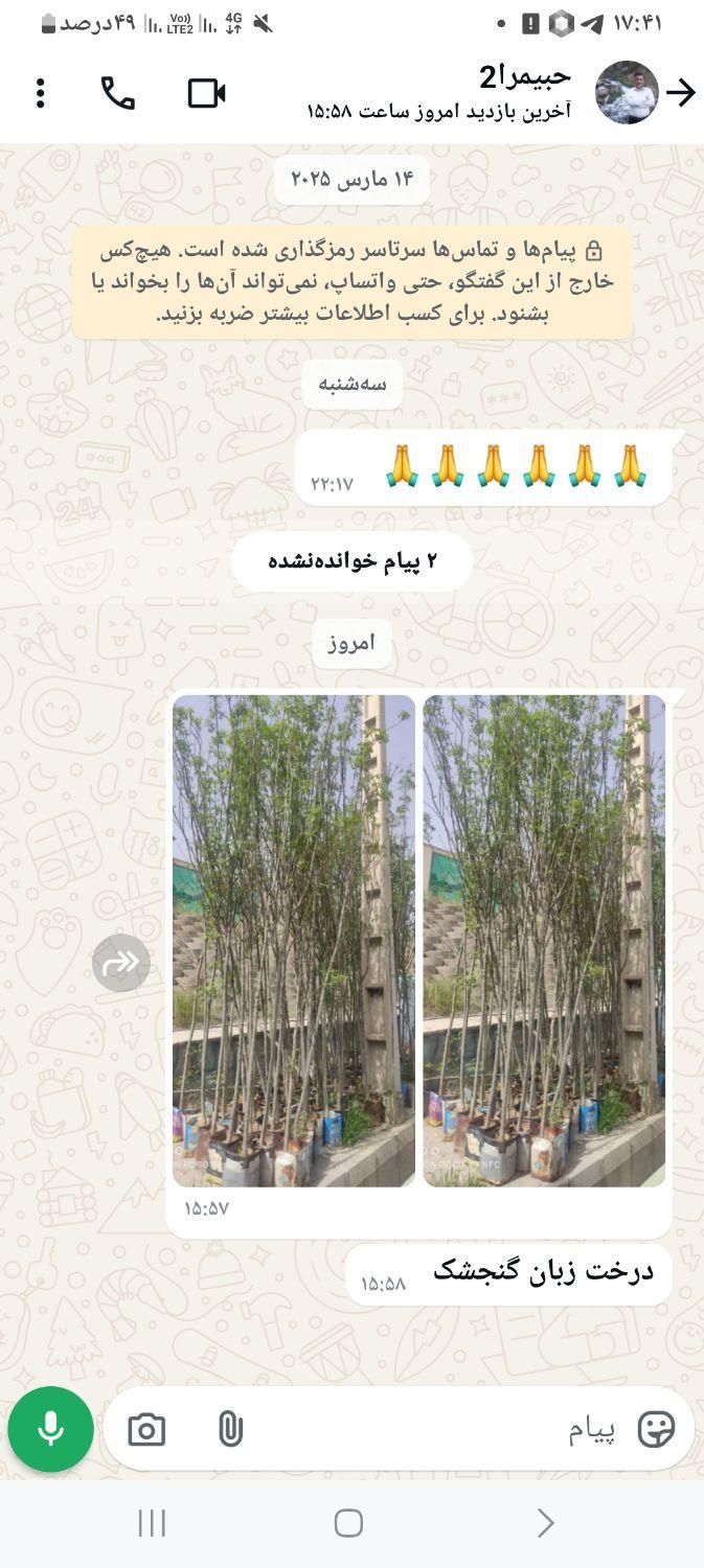 فروش درخت زبون گنجشکی|گل و گیاه طبیعی|تهران, اقدسیه|دیوار