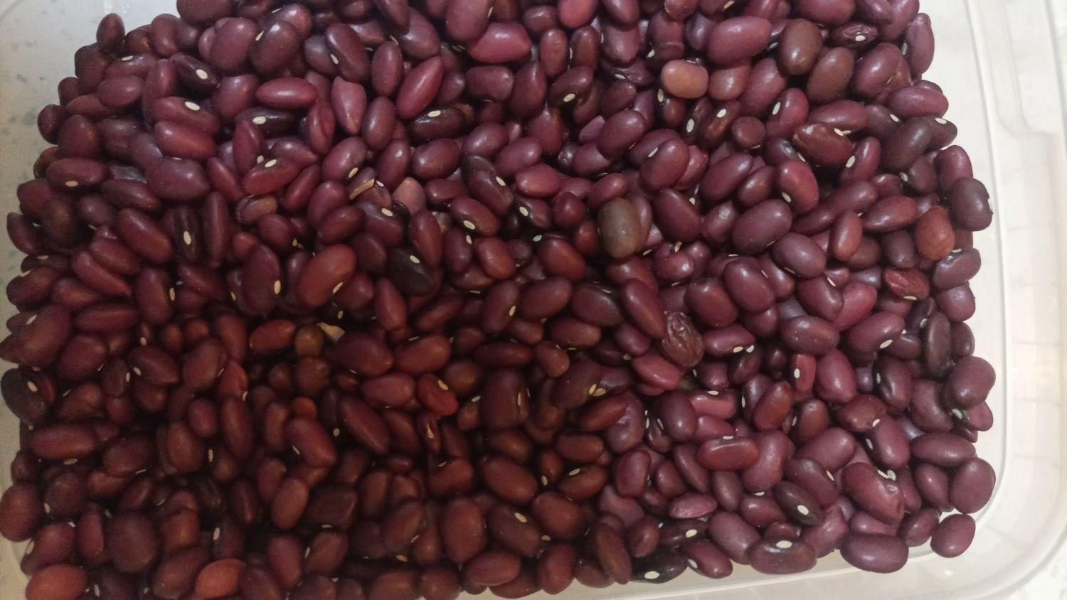 حبوبات ایرانی|خوردنی و آشامیدنی|تهران, مسعودیه|دیوار