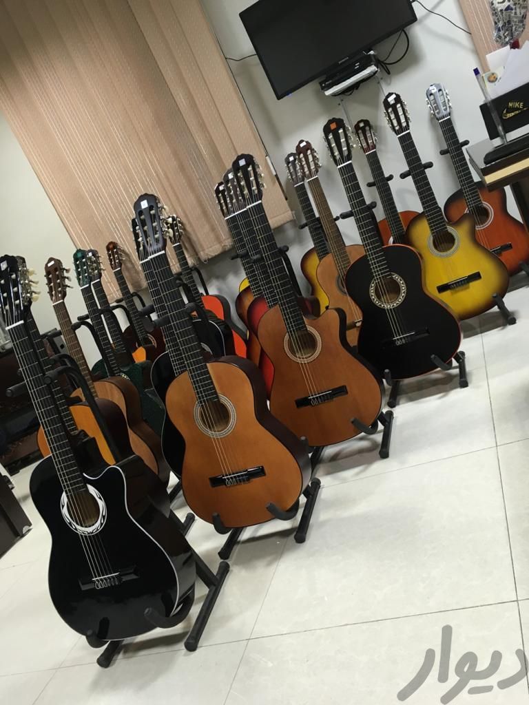 گیتار آموزشگاه موسیقی|گیتار، بیس و امپلیفایر|کرج, بهار|دیوار