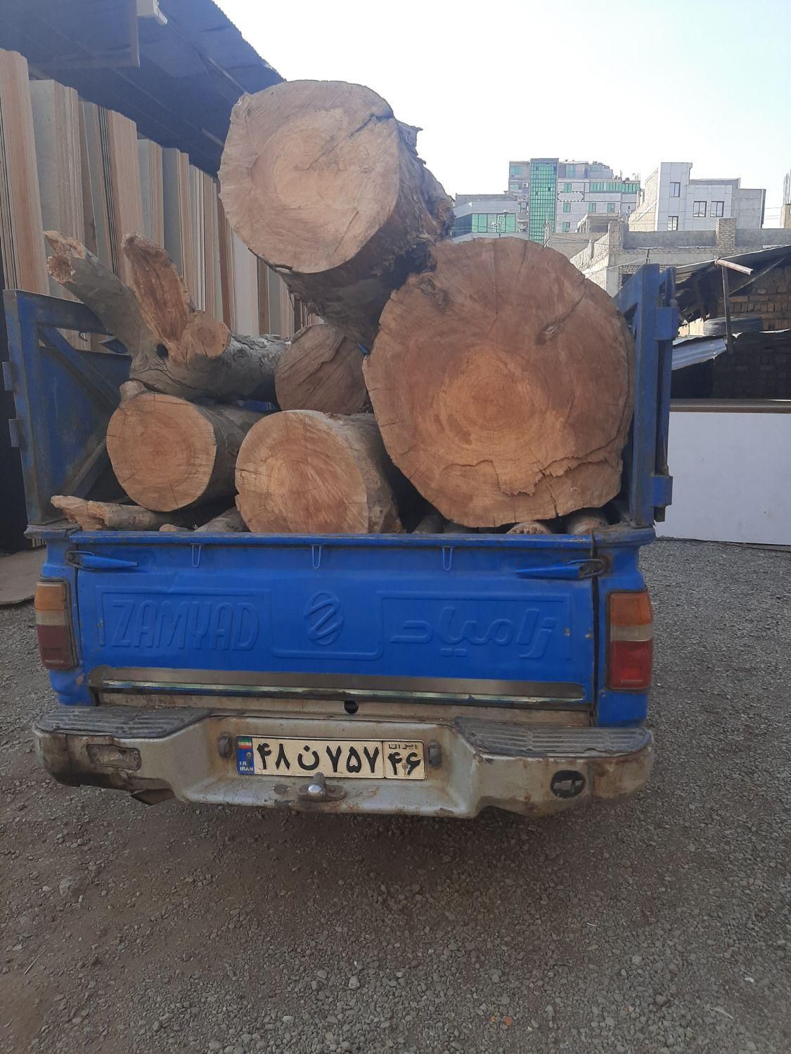 هرس درخت ، باغبانی ، چوب بری ، قطع درخت ،|خدمات باغبانی و درختکاری|کرج, مهرشهر - فاز ۴|دیوار