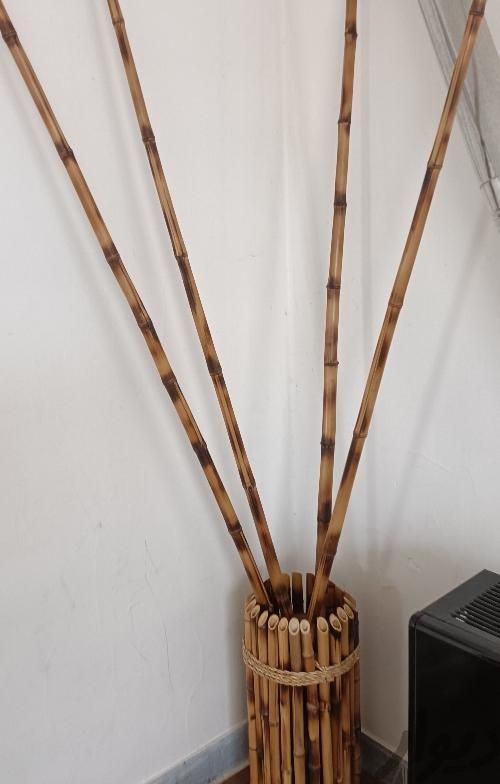 گلدان چوبی با نی بامبو|صنایع دستی و سایر لوازم تزئینی|شاهرود, |دیوار