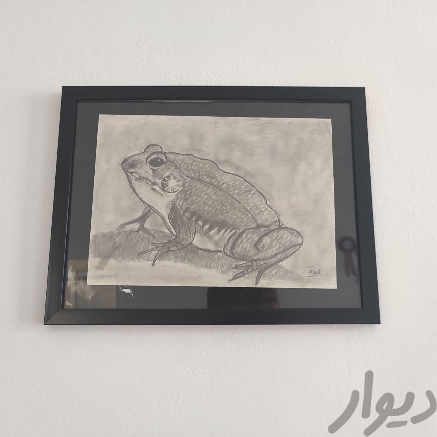 تابلو نقاشی قورباغه|تابلو، نقاشی و عکس|تهران, نیلوفر|دیوار