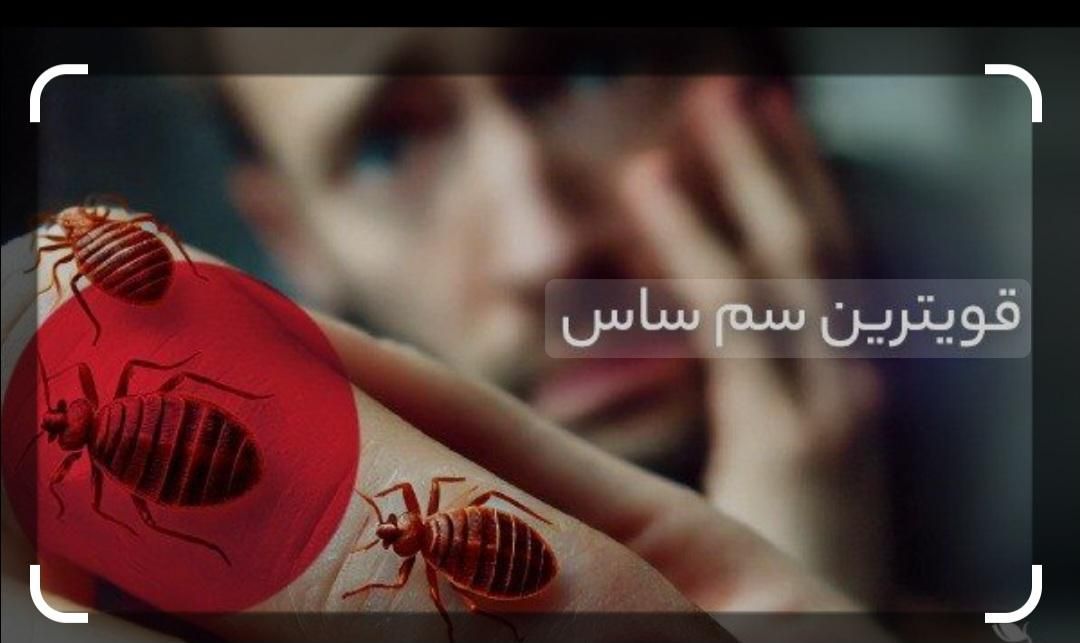 سمپاشی.صدردصدتضمینی سم پاشی سوسک وساس و...|خدمات نظافت|تهران, آذری|دیوار