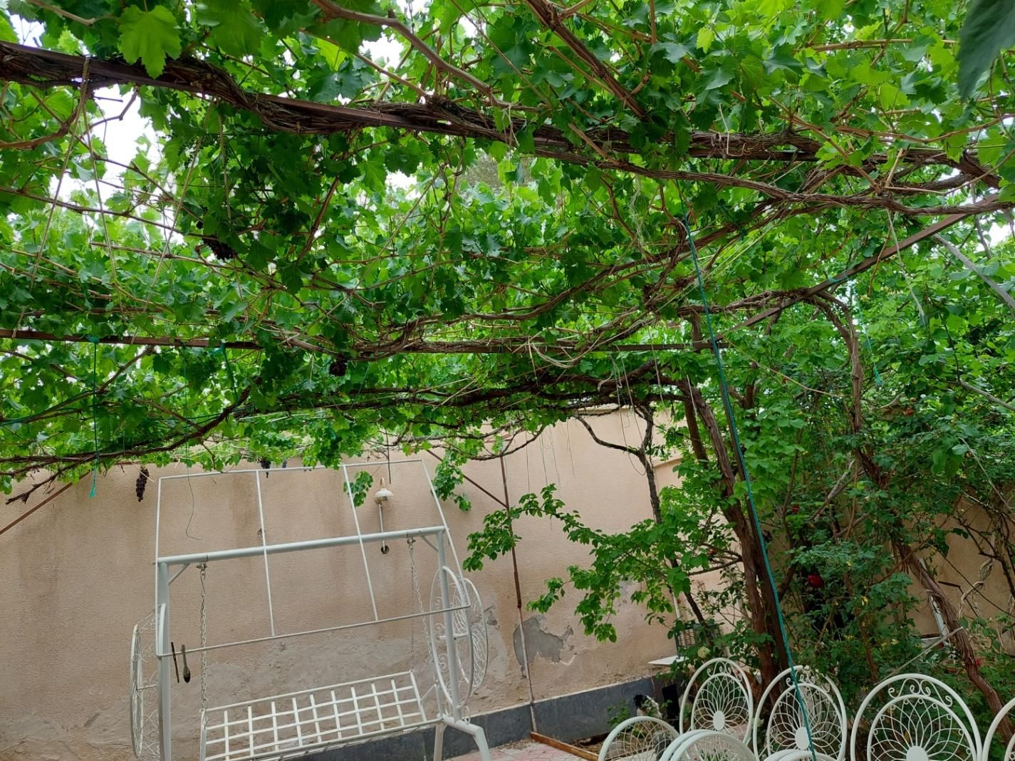 تصویر 5