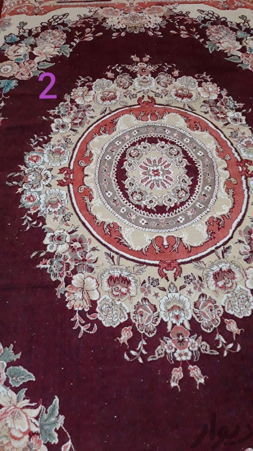 قالیای ۱۲متری|فرش|اهواز, حصیرآباد|دیوار