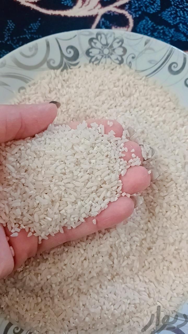 برنج نیم دانه هاشمی|خوردنی و آشامیدنی|چاف و چمخاله, |دیوار