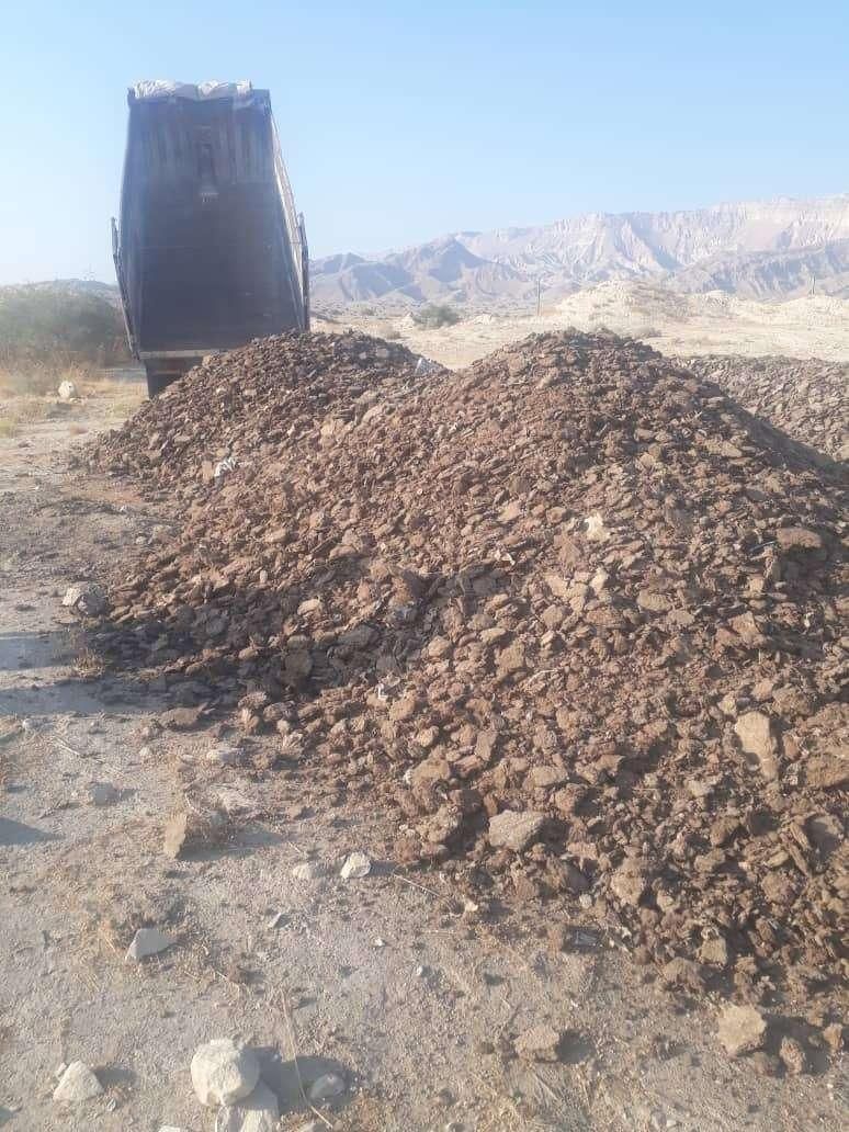 کودگاوی و مرغ|خدمات باغبانی و درختکاری|بندر دیر, |دیوار