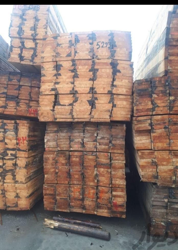 چوب روسی /زیرپایی /بنایی/|ابزارآلات|خرمشهر, |دیوار