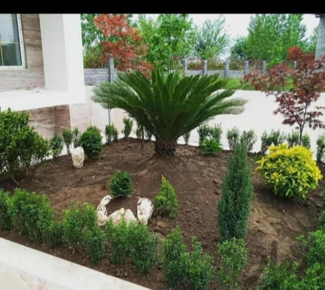 خدمات باغبانی گل کاری تعویض خاک گلدون بیل زنی هرس|خدمات باغبانی و درختکاری|تهران, جردن|دیوار