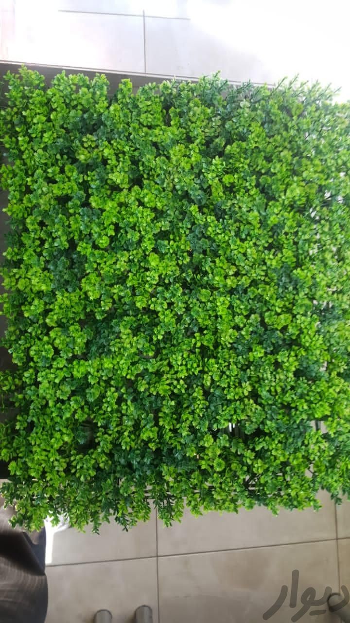 دیوار سبز مصنوعی دنیز چمن|گل و گیاه طبیعی|تبریز, |دیوار