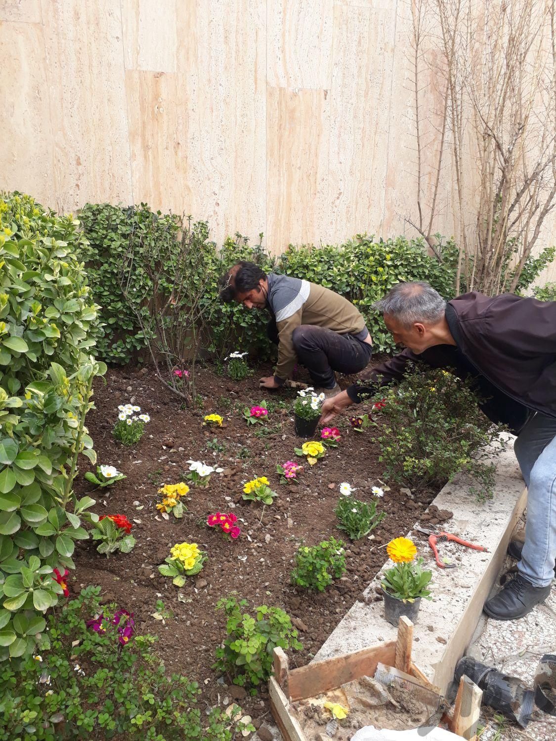 سم پاشی گلکاری  سمپاشی بامهر فاکتور هرس کاری|خدمات باغبانی و درختکاری|تهران, جردن|دیوار