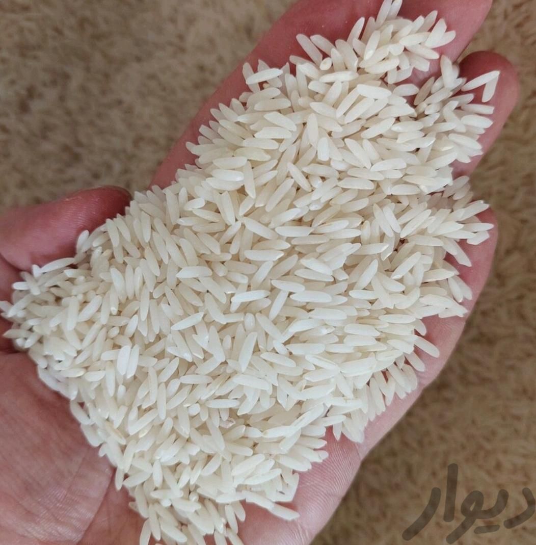 برنج یک|خوردنی و آشامیدنی|بهشهر, |دیوار