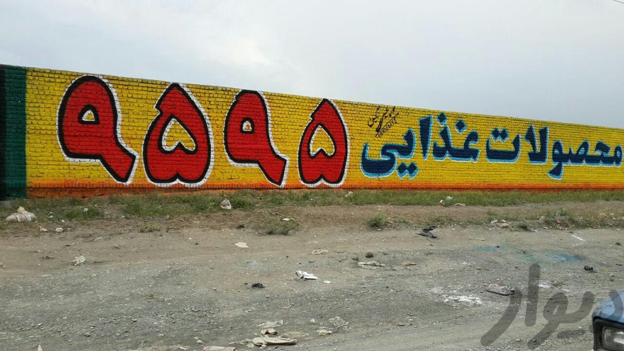 تبلیغات دیوار نویسی جاده ای در تمام نقاط استان