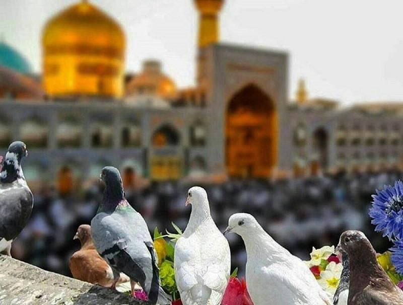 زیارت زمینی / آستان قدس|تور و چارتر|اصفهان, سنبلستان|دیوار
