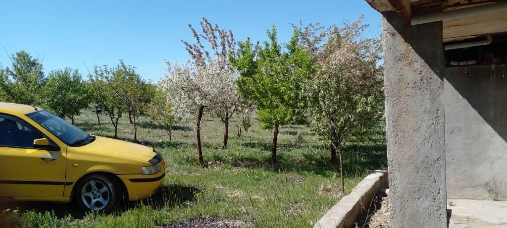 باغ میوه بیجار کردستان|فروش زمین و ملک کلنگی|تهران, آبشار|دیوار