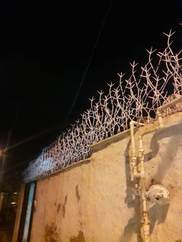 دزدگیر دیواری، بوته ای، شاخ گوزنی، نرده ای، فرفوژه|مصالح و تجهیزات ساختمان|شیراز, شهرک برزین|دیوار