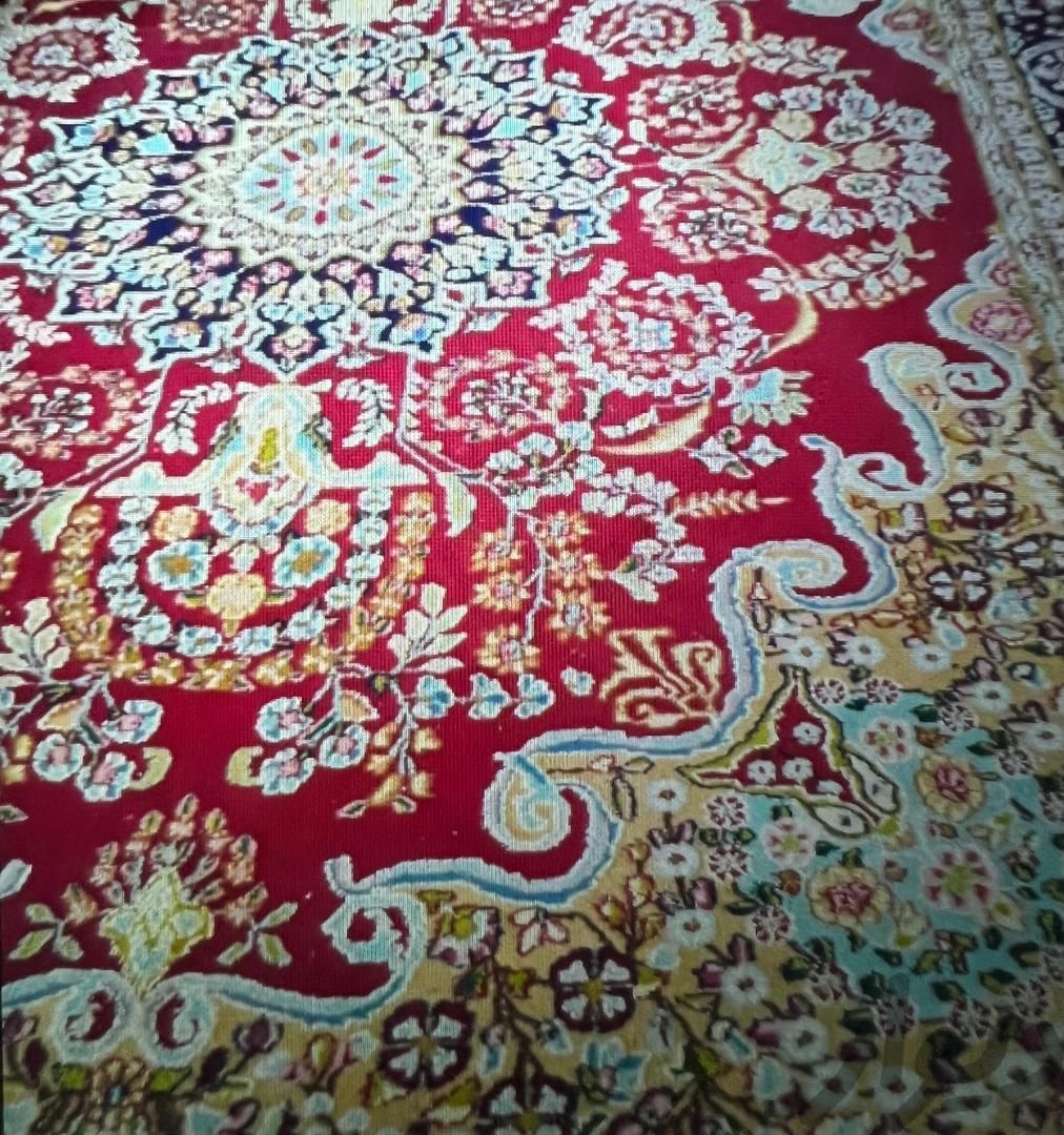 فرش دستباف|فرش|رفسنجان, |دیوار