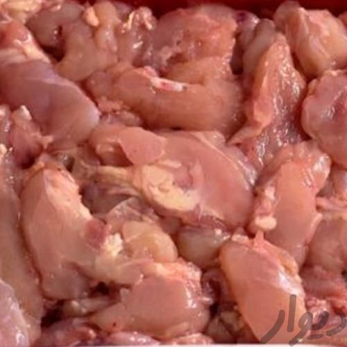 خرده خورده گوشت و گوشواره مرغ|خوردنی و آشامیدنی|اصفهان, کلمه خوران|دیوار