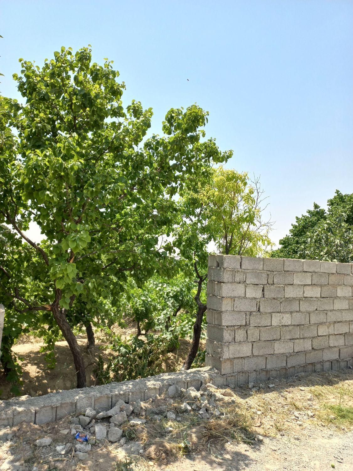 زمین باغی باغچه چهاردیواری/سنددار/اقساطی|فروش زمین و ملک کلنگی|تهران, امیریه|دیوار