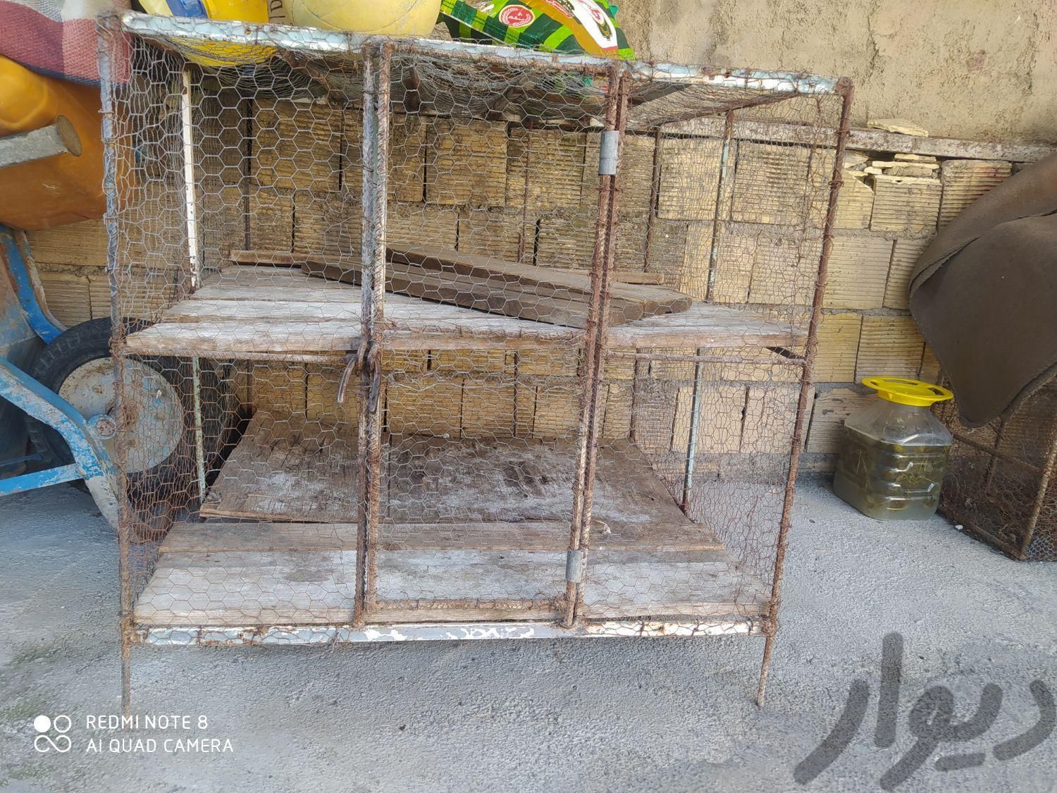 قفس|لوازم جانبی مربوط به حیوانات|خرم‌آباد, |دیوار