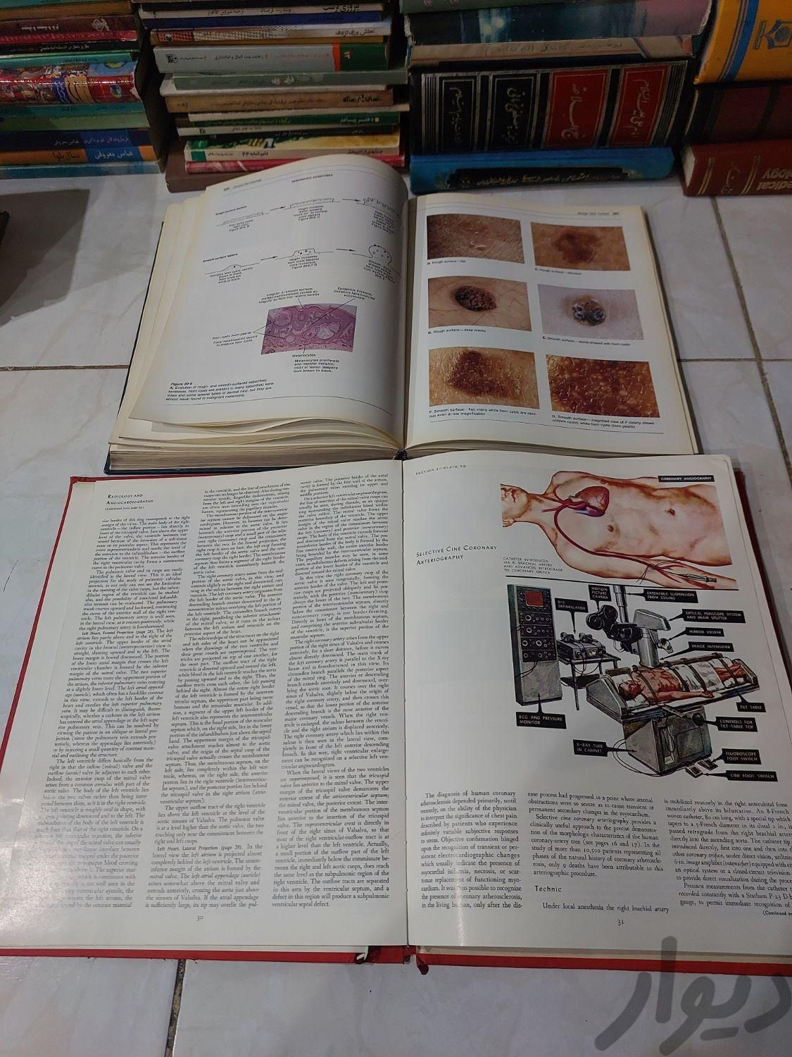 کتاب های قدیمی ادبی و کتاب های پزشکی داروشن ژنتیک|حراج|تهران, جردن|دیوار