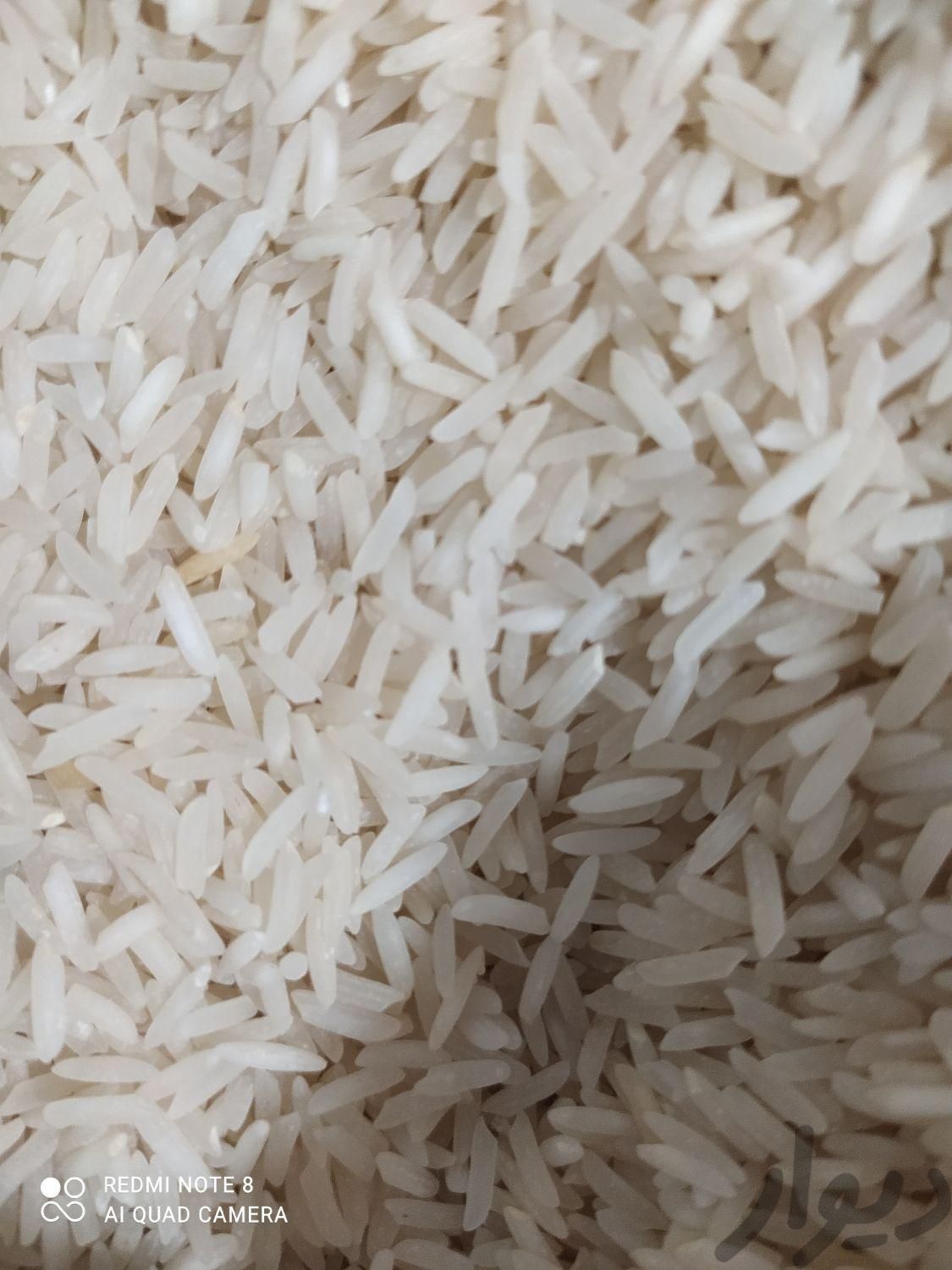 پخش برنج ایرانی. هندی.پاکستانی|عمده‌فروشی|تهران, فلاح|دیوار