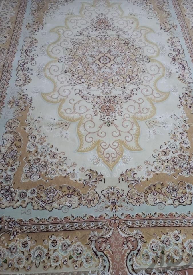 فرش ۶متری خوش نقش|فرش|رشت, حمیدیان|دیوار