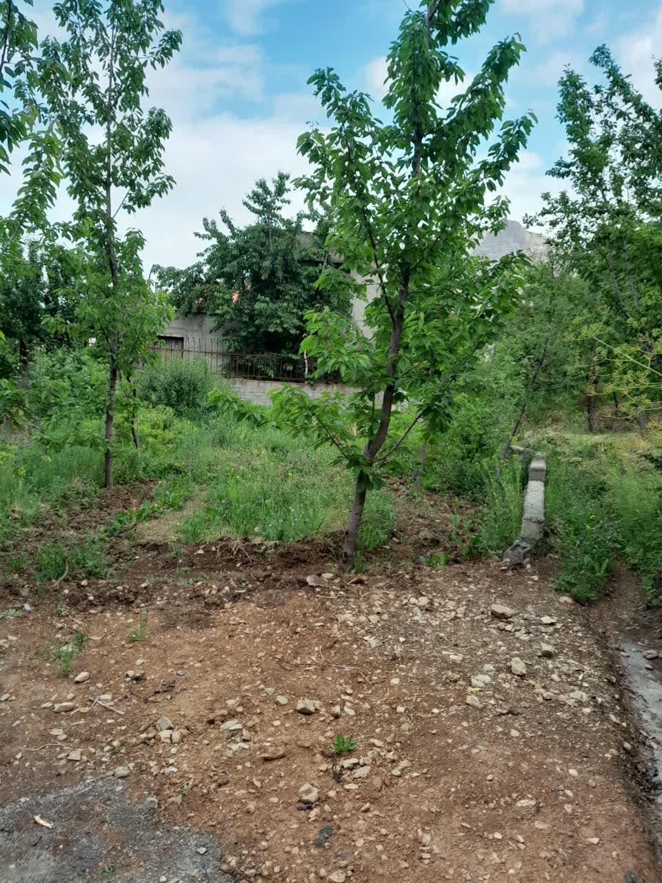 زمین با جواز ساخت ...روستای خور تاپ لوکیشن|فروش زمین و ملک کلنگی|آسارا, |دیوار