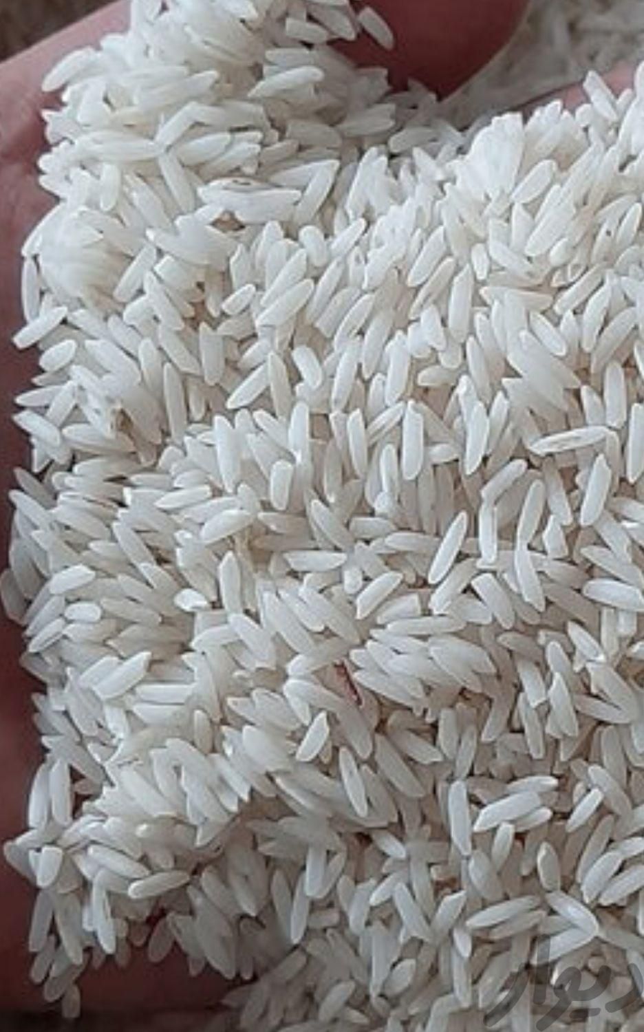 برنج یک|خوردنی و آشامیدنی|بهشهر, |دیوار
