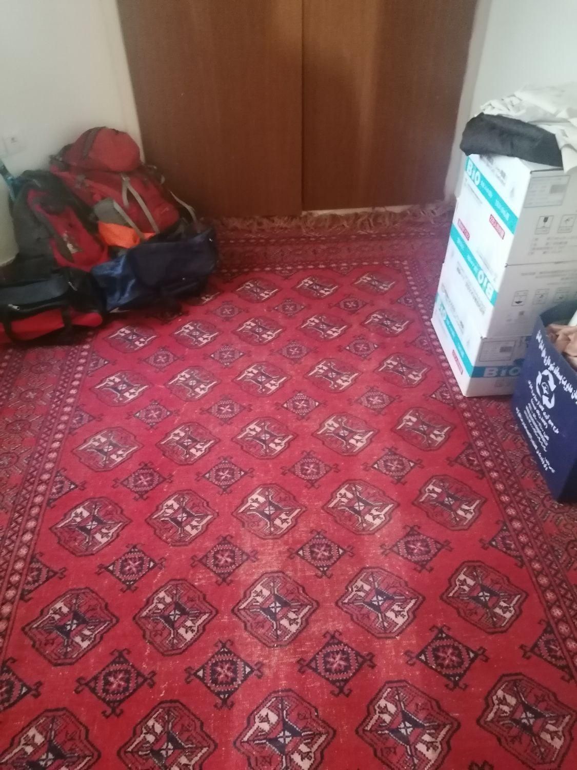 فرش دست باف قدیمی|فرش|گرگان, |دیوار