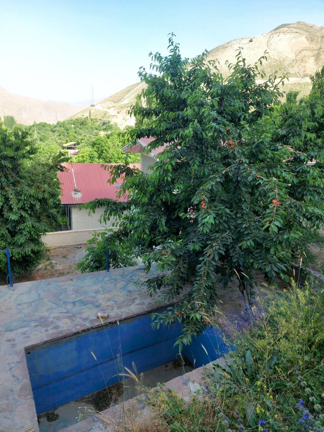 باغ ویلا جاده چالوس روستای لیلستان|فروش خانه و ویلا|آسارا, |دیوار