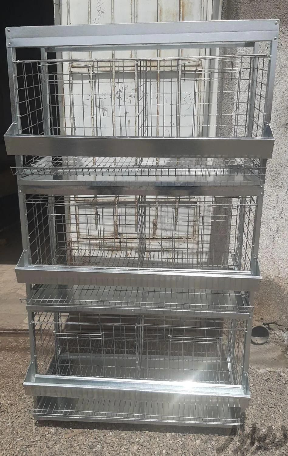 قفس های صنعتی برای پرورش پرندگان|لوازم جانبی مربوط به حیوانات|زاهدان, |دیوار