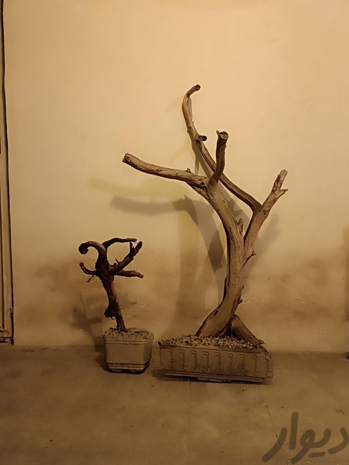 درختچه نشیمنگاه پرنده|لوازم جانبی مربوط به حیوانات|تهران, امیریه|دیوار