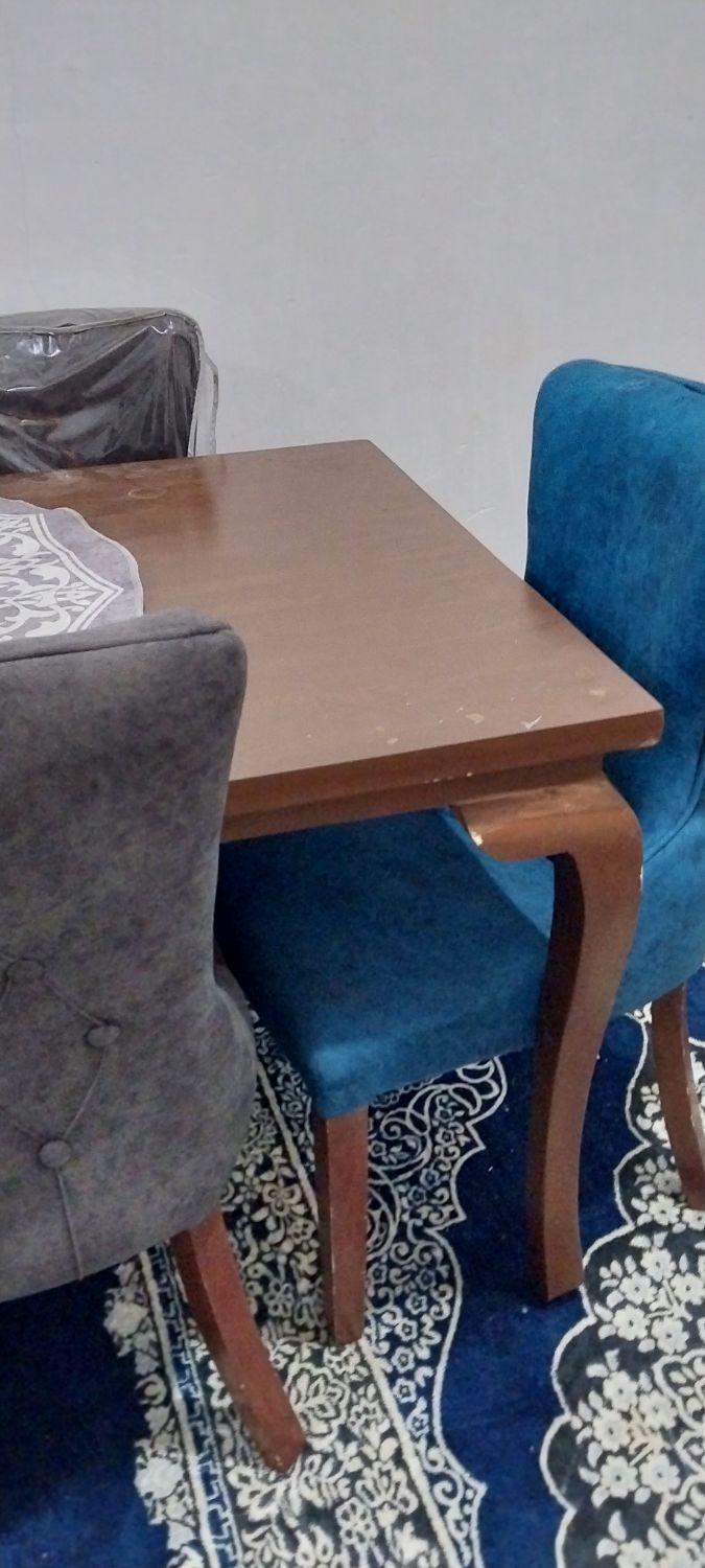 میز ناهار خوری ۶ نفره چستر|میز و صندلی غذاخوری|بندر ماهشهر, |دیوار