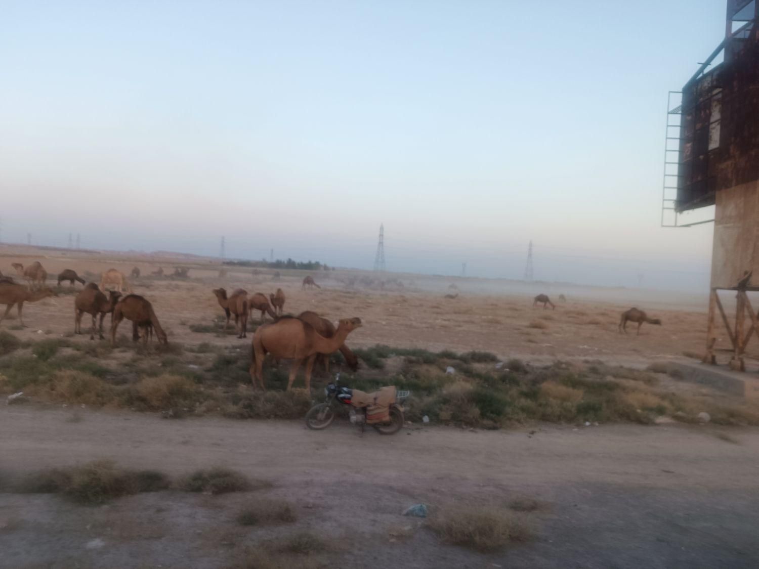 همراه   بوستان گردی|کوهنوردی و کمپینگ|تهران, تهرانپارس شرقی|دیوار