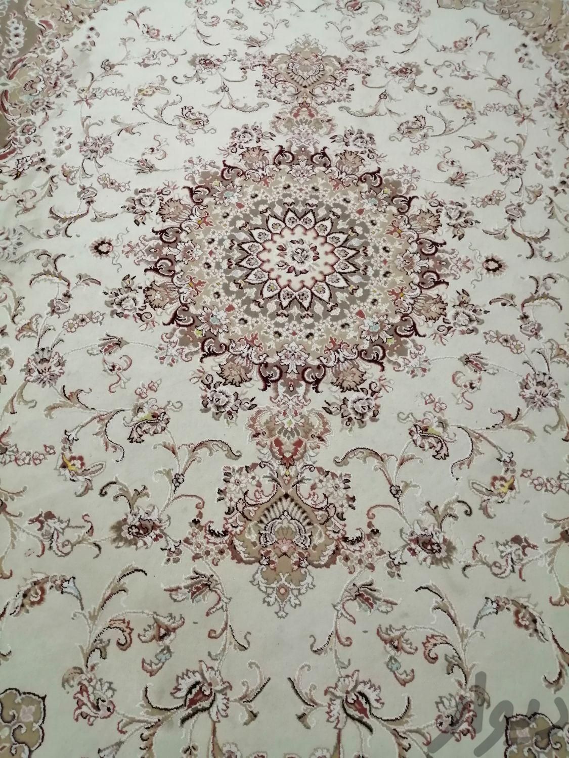 فرش 6متری پردیسان دلیجان طرح برجسته|فرش|اصفهان, شهریار|دیوار