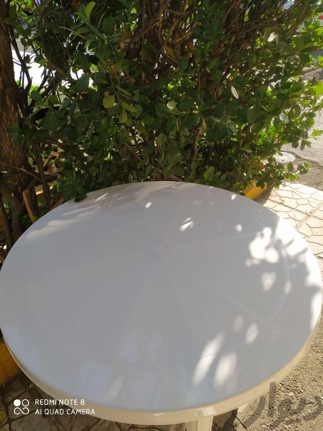 صندلی پلاستیکی میز پلاستیکی کد 519 صبا پلاستیک|میز و صندلی غذاخوری|تهران, اتحاد|دیوار