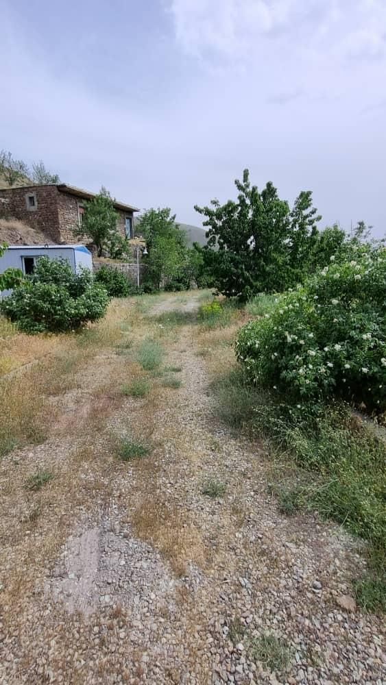کارگر ساده ساختمانی باغبان  باغ  استخدام|استخدام معماری، عمران و ساختمانی|تهران, تهرانپارس شرقی|دیوار