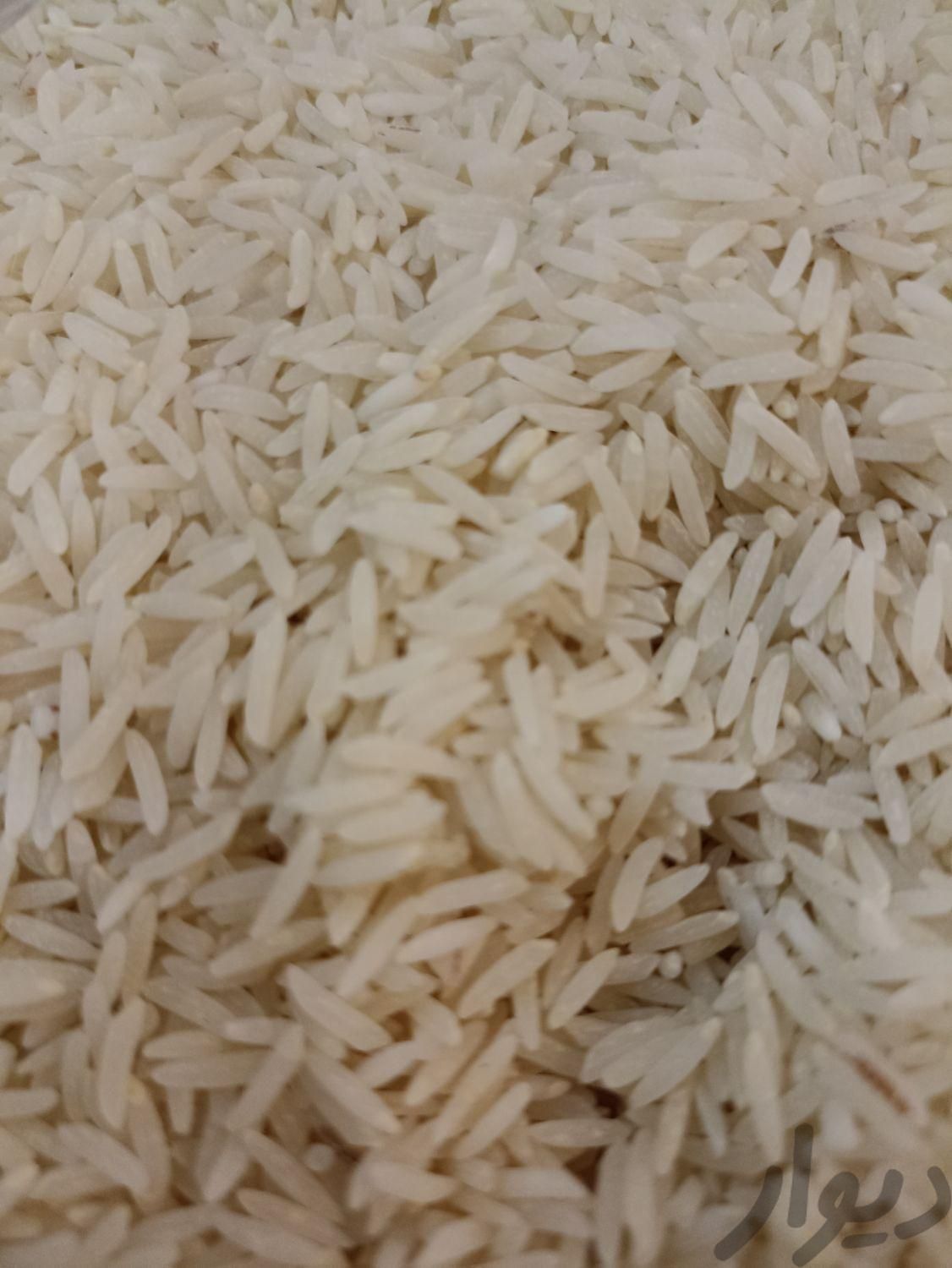 برنج ایرانی (به شرطه پخت)|خوردنی و آشامیدنی|مشهد, جانباز|دیوار